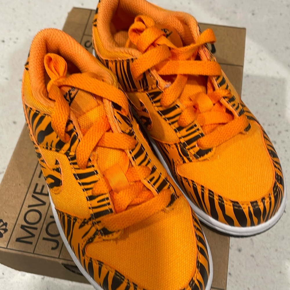 Brand new Nike Dunk Low TD